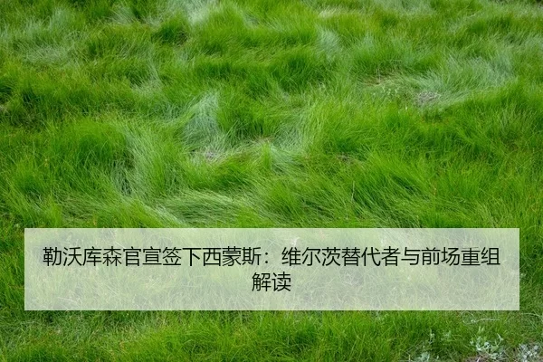 lei-wo-ku-sen-guan-xuan-qian-xia-xi-meng-si-wei-er-ci-ti-dai-zhe-yu-qian-chang-chong-zu-jie-du-2-656.jpg