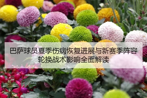 ba-sa-qiu-yuan-xia-ji-shang-bing-hui-fu-jin-zhan-yu-xin-sai-ji-zhen-rong-lun-huan-zhan-shu-ying-xiang-quan-mian-jie-du-2-638.jpg