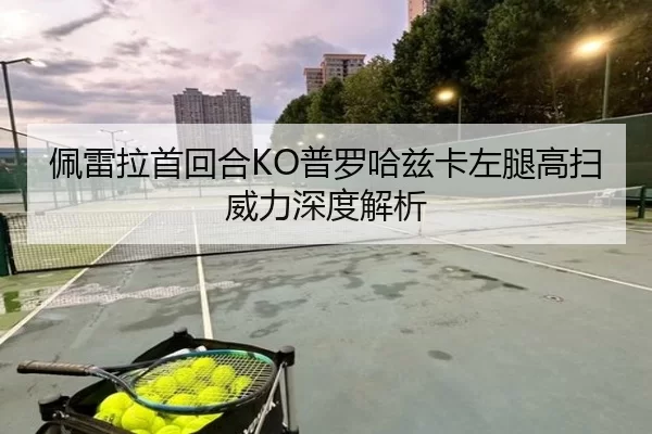 佩雷拉首回合KO普罗哈兹卡左腿高扫威力深度解析