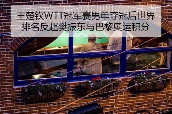 王楚钦WTT冠军赛男单夺冠后世界排名反超樊振东与巴黎奥运积分